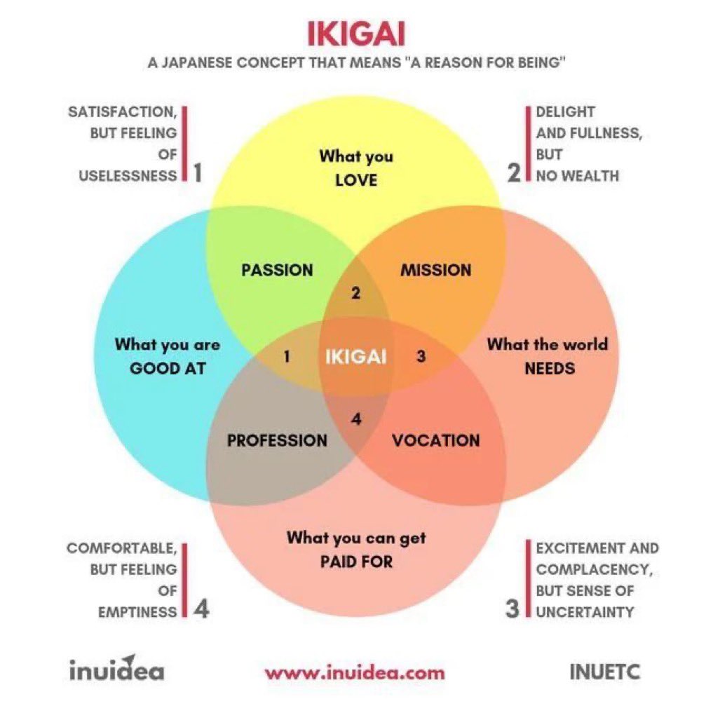 四种ikigai维度的交互方式
