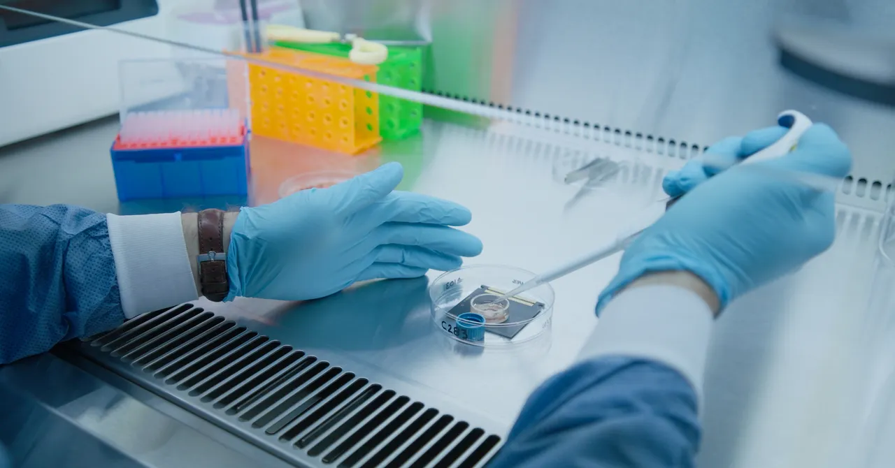 用大鼠脑细胞造AI？生物计算离现实更近一步