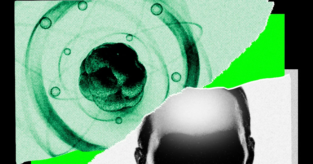 AI攻克数学后，正瞄准整个科学界