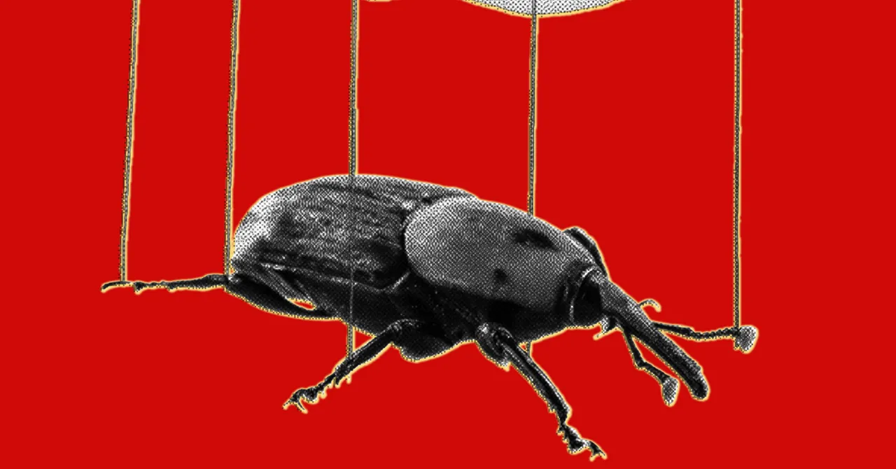 PHP漏洞危机：AI让旧Bug变成新武器